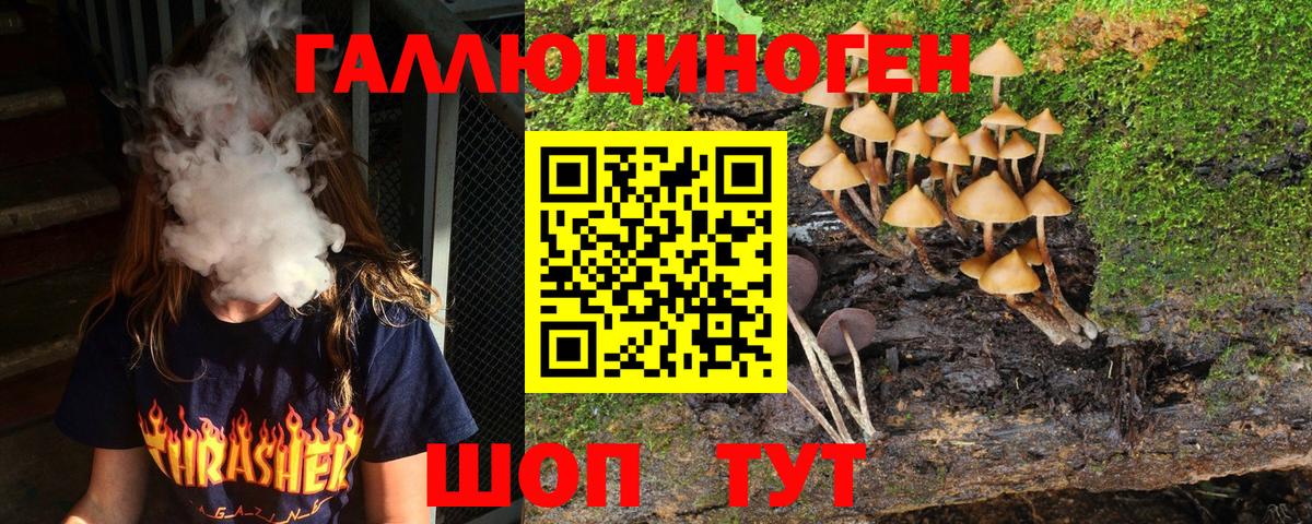 Псилоцибиновые грибы Psilocybine cubensis  Псилоцибиновые грибы Psilocybe  Вход с VPN  Десногорск 